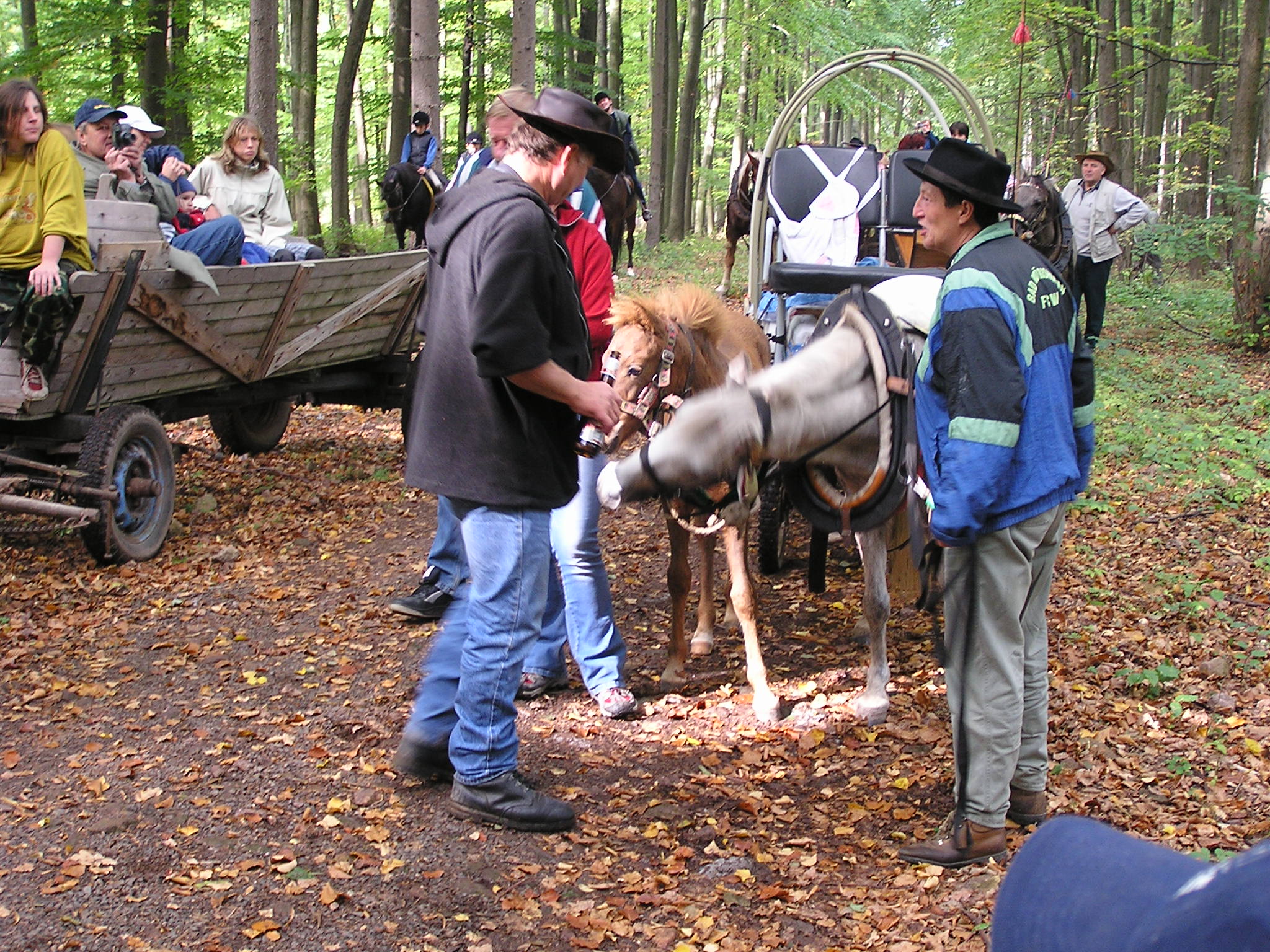 PA010088.JPG